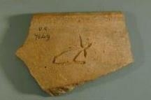 Potmark on sherd of Egyptian red vessel, late Middle Kingdom (1,700 BC) UC7649 - Copyright of the Petrie Museum of Egyptian Archaeology, UC